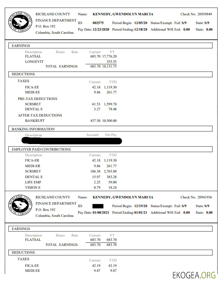 Bulletin de paie du département des finances du comté de Richland